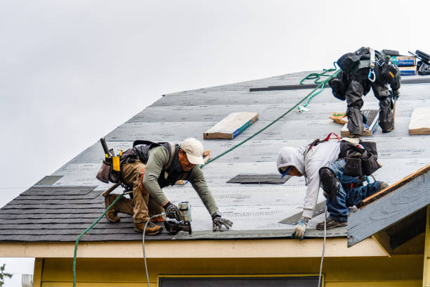 Professional Storm Damage Roof Repair technician working in Goodrich, TX